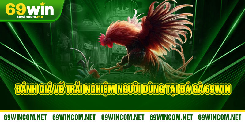 Đá Gà 69Win - Nảy lửa đòn đao, thắng đậm không giới hạn 2 Đánh giá về trải nghiệm người dùng tại Đá Gà 69Win
